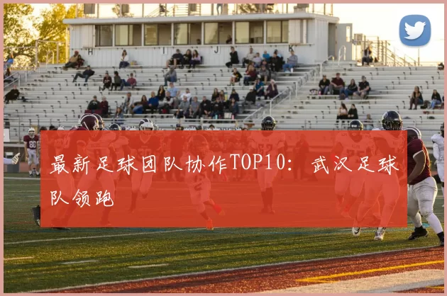 最新足球团队协作TOP10：武汉足球队领跑
