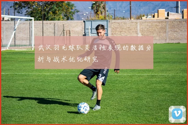 武汉羽毛球队灵活性表现的数据分析与战术优化研究