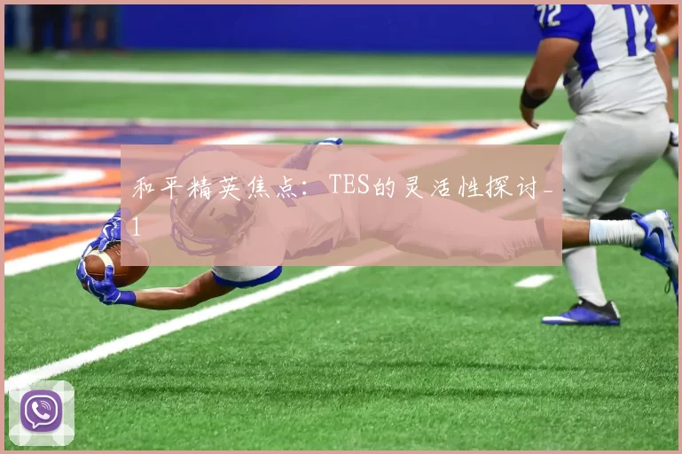 和平精英焦点：TES的灵活性探讨_1