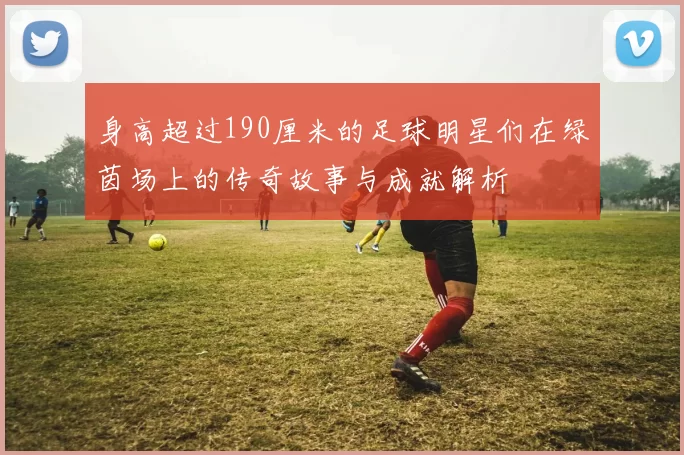 身高超过190厘米的足球明星们在绿茵场上的传奇故事与成就解析